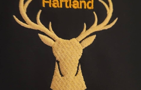 hartland town band